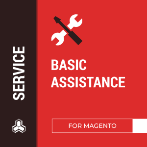 Basic Assistance with Magento Store